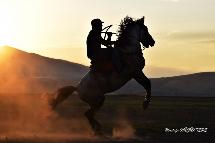 Fotorafta Hareket