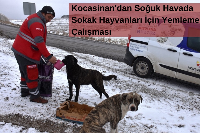 Kocasinan'dan Soğuk Havada Sokak Hayvanları İçin Yemleme Çalışması