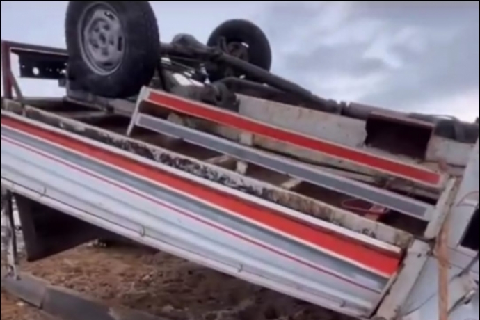 Kavşakta Kontrol Kayboldu: Kamyonet Takla Attı, Büyükbaş Hayvanlar Yola Savruldu