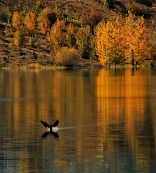 Kahramanmaraş'ta sonbahar renkleri